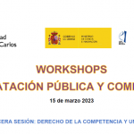 Workshops de Contratación Pública y Competencia: «Derecho de la competencia y uniones de empresarios
